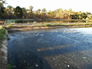 DSCN0127 2