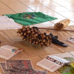 DSCN0249