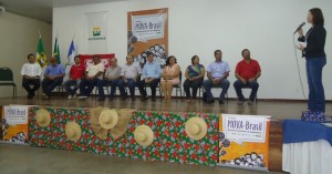 Formação Inicial