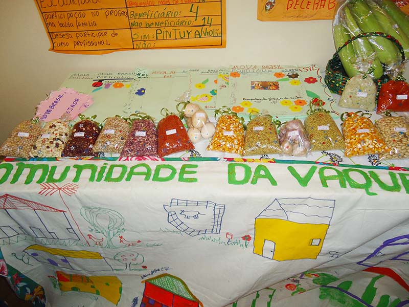 Demostrativo dos produtos produzidos por educanos assentamento para terra
